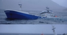 Stire din Economie : O navă pentru transportul peștelui s-a scufundat în Marea Norvegiei
