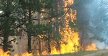 Stire din Eveniment : INCENDIU DE AMPLOARE! Peste 80 de persoane se luptă cu flăcările