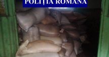 Stire din Eveniment : Flagrant și 24 de perchiziții, la Constanța. 17 persoane reținute pentru furt calificat