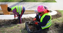 Stire din Social : Zona Cazinoului va fi înfrumuseţată cu flori perene
