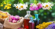 Stire din Sănătate : Florile lui Bach sunt utile în caz de epuizare, tristețe și stres