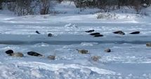Stire din Actualitate : Alertă maximă! Fenomenul bizar care a șocat planeta