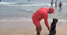 Stire din Social : De la adăpost, pe plaja din Eforie! Igor, mascota salvamarilor și prietenul turiștilor