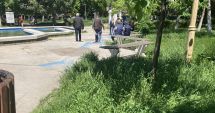 Stire din Politică-Administrație : Constanţa, raiul bălăriilor! „Ne-au năpădit şopârlele!” Ce soluții are primăria