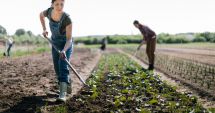 Stire din Economie : Cooperativele agricole, şansă pentru bunăstarea fermierilor