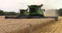 Stire din Actualitate : Producția de cereale, distrusă în Europa! Grâul va ajunge nutreț, în mai multe țări