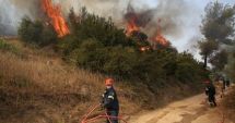 Stire din Actualitate : Grecia a demarat o anchetă privind cauza incendiilor. Se pare că focurile au fost puse