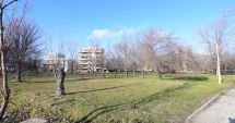 Stire din Social : Măcelul spațiilor verzi își ia tributul! Reguli mai stricte pentru dezvoltatorii imobiliari