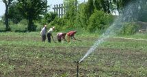 Stire din Economie : Ce nepăsare! Câte secole îi sunt necesare României să refacă sistemul național de irigații?