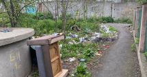Stire din Social : Jungla Constanței sau ”grădină botanică”? Sălbăticia a pus stăpânire pe zona dintre Poarta 6 și Km 4-5