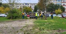 Stire din Social : Copacii dispar, dar cu parcarea cum rămâne? Tăierile masive au revoltat locatarii din zona Casei de Cultură