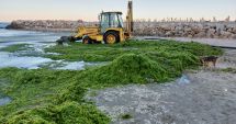 Stire din Social : Din cauza temperaturilor ridicate, algele au pus stăpânire pe litoralul românesc! "Îmi era silă să merg în apă"