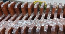 Stire din Social : Noul mobilier urban e greu de întreținut? "Doar constructorul gestionează lucrările"