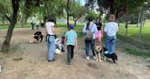 Stire din Social : Problema câinilor maidanezi în Constanța. O dilemă între siguranță și iubire pentru animale