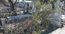 Stire din Social : Memoria răposaților, batjocorită! Mii de morminte abandonate în Cimitirul Central din Constanța