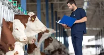 Stire din Social : Criză în medicina veterinară rurală! Animalele rămân fără tratament