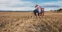 Stire din Economie : Criză în agricultură. Fermierii constănțeni cer soluții rapide și piețe alternative