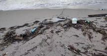 Stire din Social : Pui de delfin, eșuat la mal, lângă deșeuri abandonate de nepăsători. Biologii marini fac cercetări