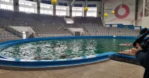 Stire din Social : Delfinii din Malta nu mai vin la Delfinariul Constanța. CJC negociază cu Mexicul