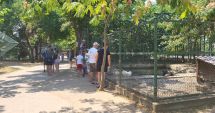Stire din Social : Canicula a pus la pământ animalele de la microrezervație! "Avem grijă să nu le lipsească nimic"