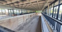 Stire din Cultură-Educație : Edificiul Roman cu Mozaic a fost reabilitat cu specialişti din Italia și va fi redeschis în luna august