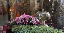 Stire din Cultură-Educație : Ce simbolizează ramurile de salcie și de ce este bine să le aducem în case