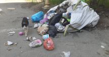 Stire din Social : Câtă lipsă de bun simţ! Unii constănțeni profită și își depozitează deșeurile în sacii muncitorilor de șantier