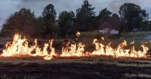 Stire din Eveniment : Incendiile de vegetație uscată fac ravagii în județul Constanța. Care sunt principalele cauze