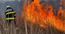Stire din Eveniment : Inconștienți de riscuri, constănțenii incendiază miriștile! Pompierii, în permanentă alertă