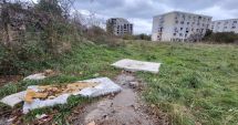 Stire din Social : Din ciclul "Nesimțiții de lângă noi". Cartierul Energia nu e lada de gunoi a orașului