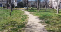 Stire din Social : Parcul Tăbăcărie, refăcut și deja degradat. Oamenii calcă iarba din lipsă de soluții