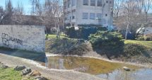 Stire din Social : Cititorii sesizează, „Cuget Liber” consemnează. Parcul Viitorului, invadat de mormoloci