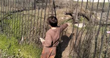 Stire din Social : La doi pași de moarte! Copiii pot ajunge direct pe calea ferată prin gardul rupt din Parcul Viitorului
