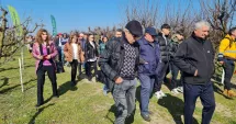 Stire din Economie : După dezastrul din 2025, livezile își revin! Semne bune pentru sezonul 2026