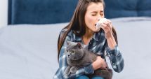 Va apărea primul vaccin împotriva alergiei la părul de pisică