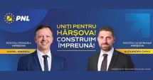 Stire din Politică-Administrație : Primarul Viorel Ionescu, de la Hârșova, aspiră la un nou mandat. "Continuitatea este cheia succesului"
