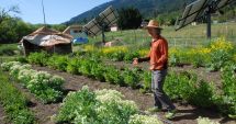 Stire din Economie : România utilizează prea puţin teren pentru agricultura ecologică. Ce planuri are UE