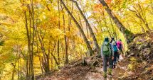 Stire din Social : TURISM - Pădurea Babadag, oază de linişte şi relaxare. Câteva ore de drumeţie vă remontează pentru o săptămână