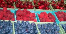 Alternativă de afacere care-ți poate rotunji veniturile: cultura de fructe de pădure