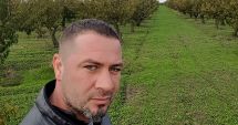 Stire din Economie : Cum înfiinţezi o livadă de pomi fructiferi ca să aduni profit