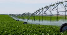 Stire din Economie : Ce cote de TVA se aplică în agricultură. Cine plăteşte taxa pe valoarea adăugată şi cine nu
