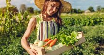 Stire din Economie : Agricultura, dezvoltată prin PNRR. Infrastructura de gestionare a apei şi învăţământul dual, printre priorităţi