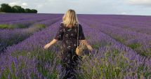 Stire din Economie : O afacere profitabilă cu „aur mov”. Lavanda îţi aduce satisfacţii nemăsurabile