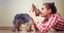 Stire din Sănătate : Atenție! Alergiile la copii pot fi declanșate inclusiv de animale
