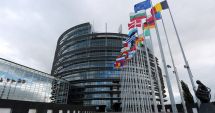 Stire din Economie : Apelul consumatorilor industriali de energie către liderii UE