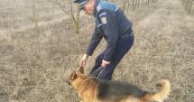 Stire din Eveniment : Băiețel surdo-mut dispărut, găsit cu ajutorul a doi câini-polițiști eroi