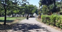 Stire din Social : Constănţenii, perfuzaţi şi hidrataţi de ambulanţieri. Cei mai afectaţi sunt bătrânii