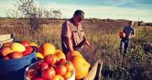 Stire din Economie : Iată ce facilități vor fi acordate cooperativelor agricole