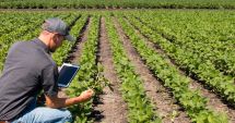 Hibrizii inovativi şi cercetarea ar putea fi soluţia unei agriculturi durabile