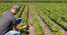 Stire din Economie : Hibrizii inovativi şi cercetarea ar putea fi soluţia unei agriculturi durabile